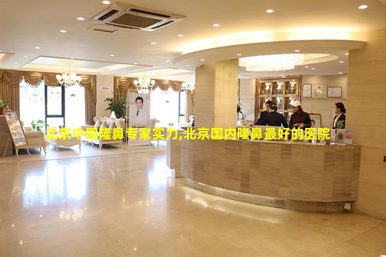 北京中国隆鼻专家实力,北京国内隆鼻最好的医院